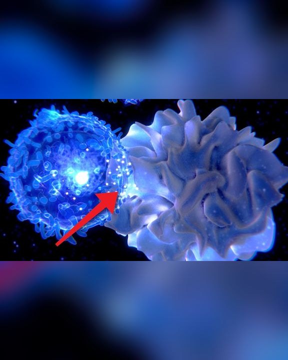 Portada del video: Así se esconde el CÁNCER de tus defensas: la vacuna que lo desenmascara | MELANOMA