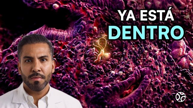 Miniatura del video: H. pylori: la bacteria que vive en tu estómago ahora mismo (y puede dar cáncer)