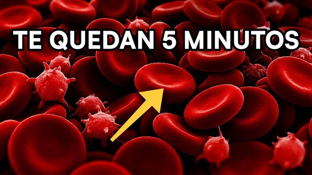 Portada del video: Oxígeno: por qué tu cuerpo se apaga cuando dejas de respirar