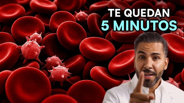 Miniatura del video: Oxígeno: por qué tu cuerpo se apaga cuando dejas de respirar