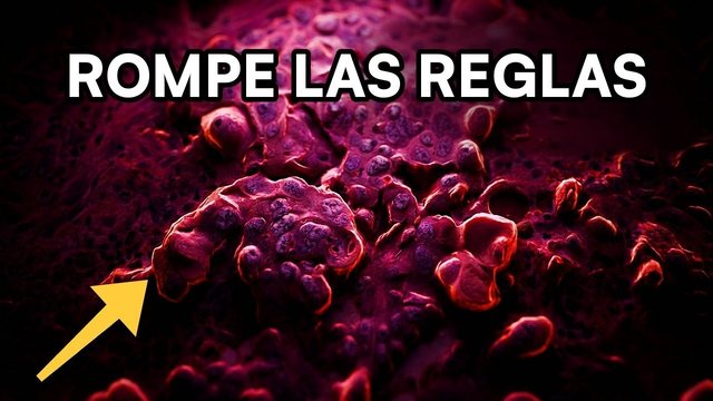 Portada del video: Cáncer: el momento exacto en que una célula traiciona a tu cuerpo