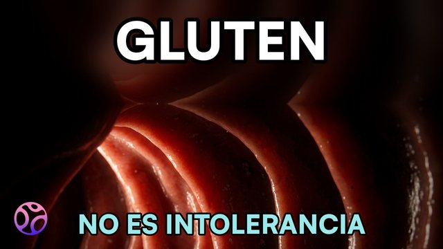 Miniatura del video: Gluten y enfermedad celíaca: seguía agotado y su intestino se estaba quemando