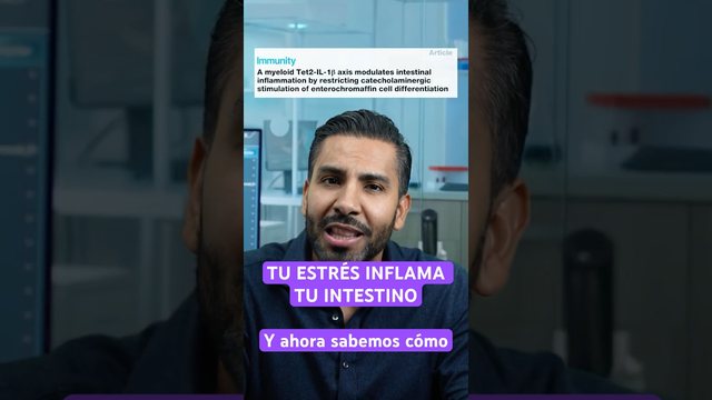 Miniatura del video: Tu intestino no solo procesa lo que comes. Procesa lo que sientes. #estres #intestino #inflamacion